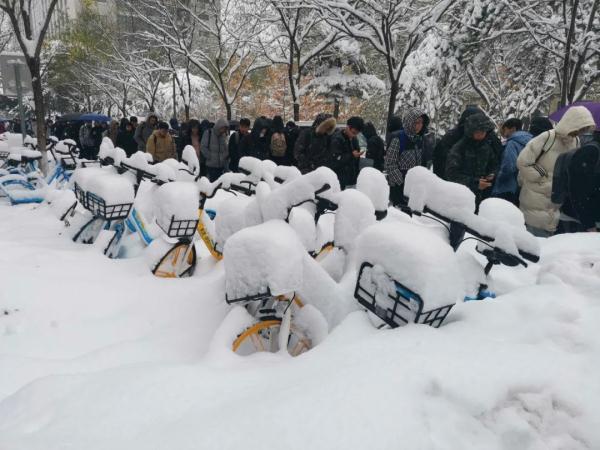 直击东北暴雪现场,暴雪袭击东北：实地报道