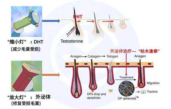 浮生若梦散 第4页