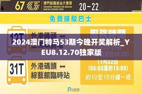 2024澳门特马今晚开什么,路妥释评据解方深解析_术版特M12.627