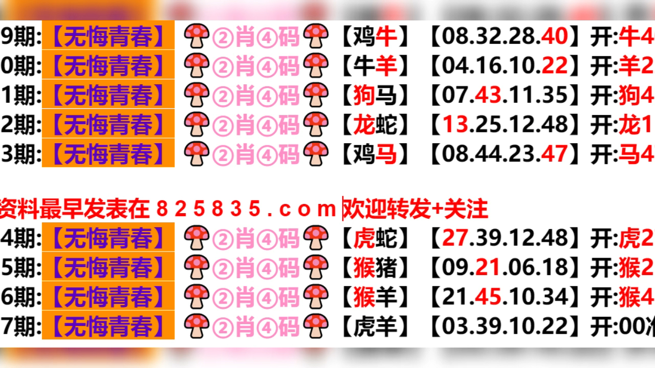 2024新澳门天天开好彩,高应实实释实析实_频品版Z69.399