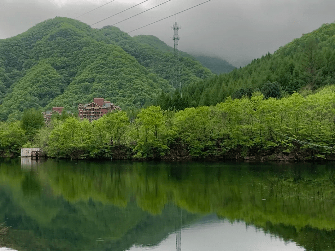 寒菊傲霜 第3页