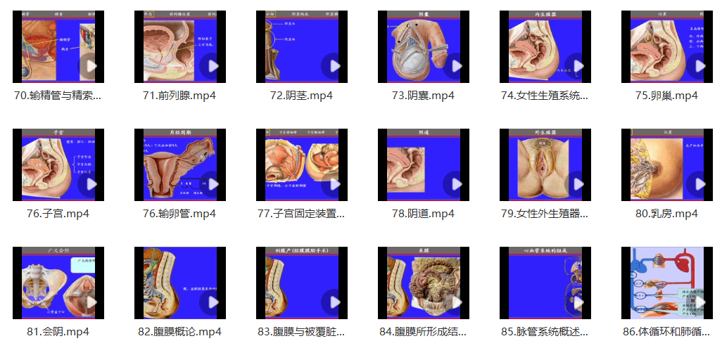 2024正版资料免费公开,释解剖解解深_版纪计Q99.768