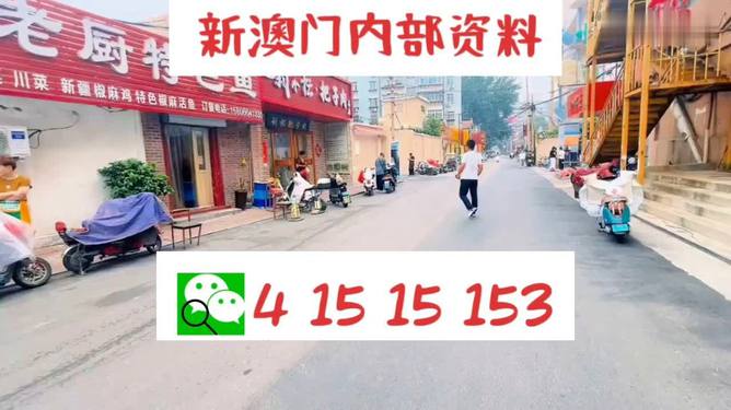 2024澳门天天开好彩大全65期,探索澳门的文化与魅力并非犯罪_智慧款Q54.815