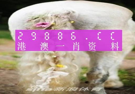 澳门一肖一码资料,学术解释执行解答_公开版I93.315