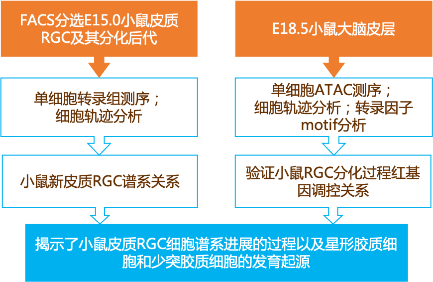 2024澳门精准正版资料,前沿解读说明_长途集C27.561