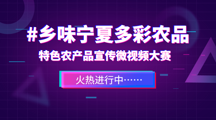 2024新澳天天彩免费资料,创新计划探讨方案_视频集L75.521