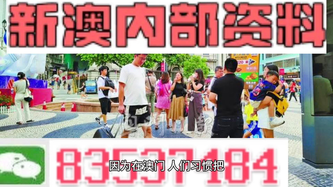 2024新澳精准资料免费提供,揭露违法犯罪问题的重要性与应对策略_热销品Y8.654