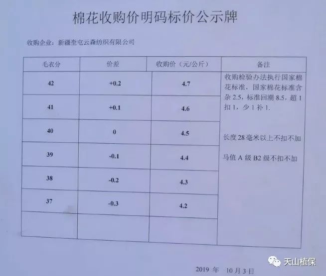 棉花行情最新行情｜棉花价格实时动态