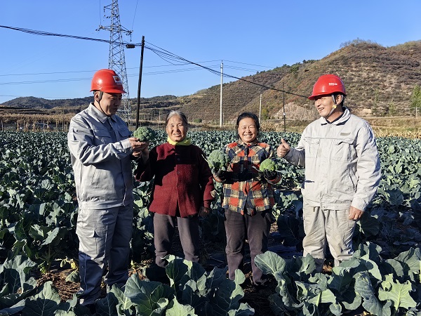 新乡常青藤最新资讯速递：揭秘校园风采与活力瞬间