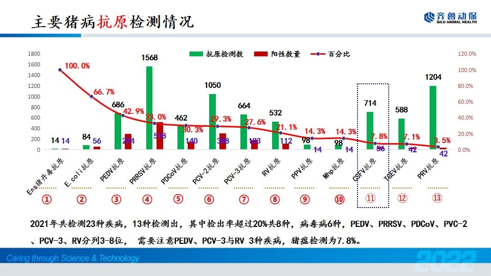 最新通报：全国范围内猪瘟疫情动态及防控进展全解析