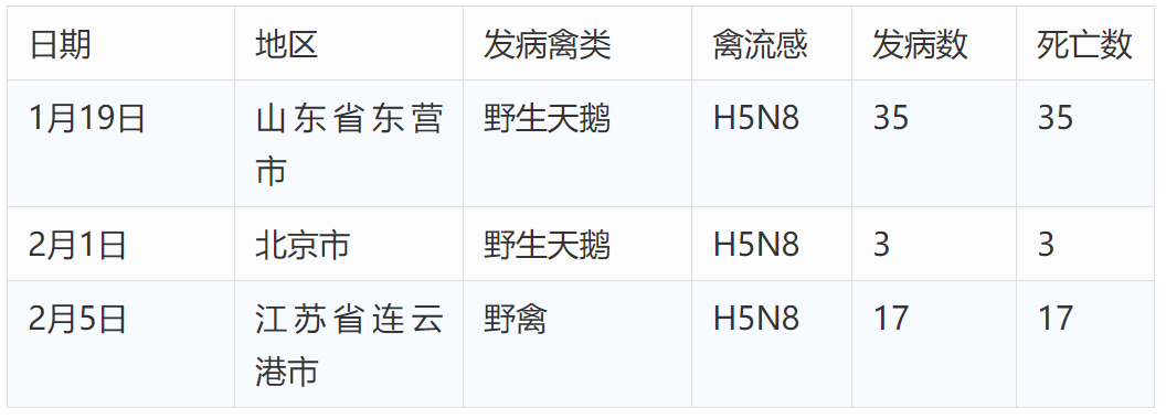 枣庄地区最新禽流感疫情动态通报